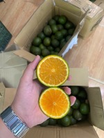 Verse groene sinaasappel uit Vietnam |   Premium citrusvruchten voor export, bulklevering - Mevr. Tarina