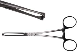 WORLD PRECISION SURGICAL Pince à tissus Allis, instrument chirurgical dentaire pour la préhension des gencives et des tissus mous, en acier inoxydable, 150 mm, CE - Product Image 3