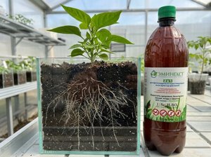 EMINEXT ปุ๋ยน้ำแบคทีเรียที่มีประโยชน์สำหรับพืชทุกชนิดและการฟื้นฟูดิน - Product Image 2