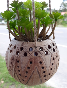 Pot de noix de coco écologique avec coquille de noix de coco 100% naturelle pour les jardinières pour accrocher des pots de fleurs - Product Image 5