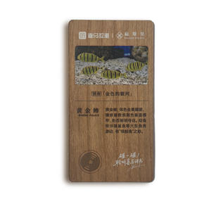 Carte de visite en bois de cerisier imperméable et écologique, RFID 13,56 MHz, NTAG213/216, carte de membre NFC, paiement, plaque en bois pour hôtel - Product Image 1