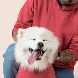 Wholesale <b>Dog</b> Clothes Solid Color Luxury Custom Fashion <b>Hoodies</b> Lightweight Different Style Professionally <b>Dog</b> <b>Hoodies</b> - Product Image 1