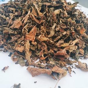 Proveedor de confianza de hojas de gelatina de hierba negra natural Hojas de gelatina de hierba seca de alta calidad para compradores internacionales - Product Image 3