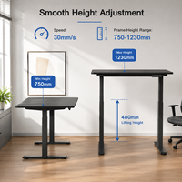 Escritorio Ergonómico Eléctrico de Altura Ajustable con Doble Motor para Trabajar de Pie o Sentado, Mesa de Computadora para Oficina en Casa