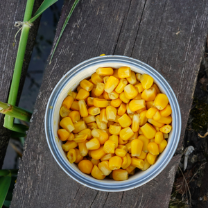 Graines de maïs sucré en conserve de qualité supérieure/maïs séché de haute qualité exporté du Vietnam/Mme Jessi - Product Image 2