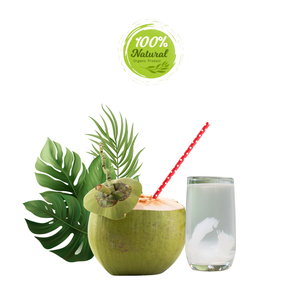 Noix de coco fraîche vietnamienne, boisson naturelle parfaite pour l'agriculture - Product Image 6