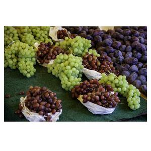 Uvas Frescas Orgánicas, Dulces, Blancas, Sin Semillas, Calidad Premium - Product Image 5