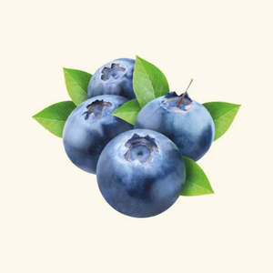 Huile végétale et animale aromatisée à la myrtille - Product Image 1