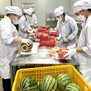 Pastèque fraîche congelée, riche en jus, prête à l'emploi - Product Image 2