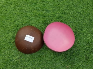 Top Seller Polished Husk Bowls Dinnerware Sets Minimalist Eco Friendly Colorful <b>Coconut</b> <b>Shell</b> Back to School Made in Vietnam - Product Image 4