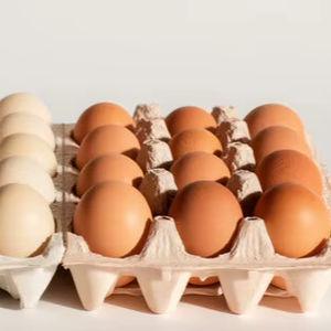 Œufs bruns à vendre, qualité supérieure et méthodes d'élevage biologique - Product Image 5