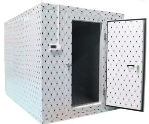 Customized Green Fruit Retail Fish <b>Storage</b> Supermarket Ice Cold <b>Storage</b> Container Box Daikin Gear Solar Powered 5+ Year Warranty - Product Image 3