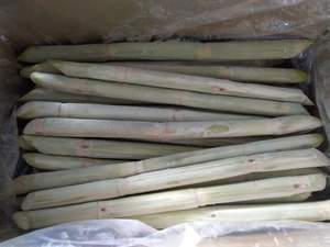 สินค้าขายดีจากเวียดนาม น้ำอ้อยแช่แข็ง ปอกเปลือกและหั่น ใช้งานสะดวกสำหรับการสกัดน้ำ บรรจุภัณฑ์ขายส่งจำนวนมาก - Product Image 2