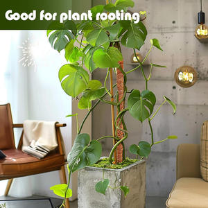 Stock US, Expédition Rapide : Lot de 2 Poteaux en Mousse Carrés Écologiques de 39,3 pouces pour Plantes Monstres - Utilisation Maison & Jardin, Frais de Port Inclus - Product Image 2