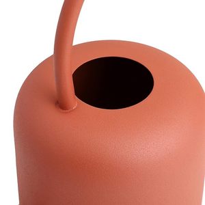 Arrosoir en métal durable pour l'entretien du jardin, arrosoir en métal rustique parfait pour votre jardin - Product Image 5