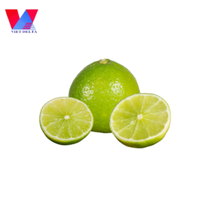 Exportation de citron vert frais sans pépins du Vietnam de qualité supérieure, limes vertes juteuses sans graines, idéales pour les jus, la cuisine et les boissons - Product Image 4