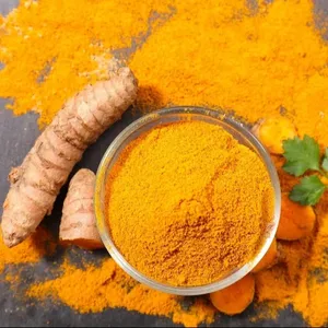 Poudre de curcuma naturelle 100% de haute qualité du fabricant d'épices de réputation du Vietnam