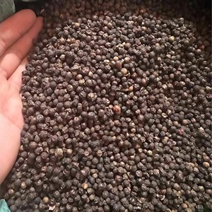 Pimienta negra de Vietnam de primera calidad, 500g/L, especias y hierbas individuales con aroma fuerte limpio y seco, listas para exportar hoy - Product Image 5