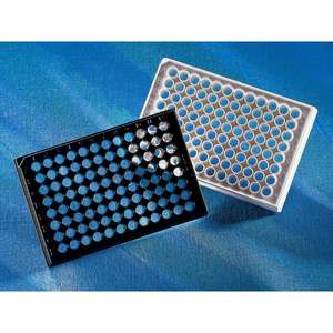 Microplaque Corning 96 puits, noire, transparente, à fond plat, non stérile, non traitée, 25 par sac, prise en charge OEM pour applications médicales - Product Image 1