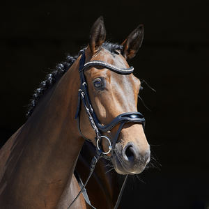 BRIDE DE CHEVAL EN CUIR À LA MODE DE LUXE ÉQUESTRE AVEC CUIR PATIENT SUR LA BANDE DE NEZ BANDE DE BROW ET BANDE DE NEZ ANATOMIQUE ET COURONNE - Product Image 2