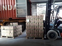 Hoogwaardige Suikervrije Morinda Citrifolia Concentraat Vers Noni Vruchtensap Van Vietnam Planten Te Koop