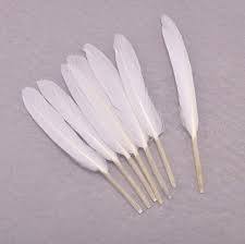 Plumas de Pato Ecológicas Personalizables, Decoración de Plumas de Pavo Real de Tinte Natural para Fiesta de Boda, Uso en Festival, Patrón Crudo - Product Image 5