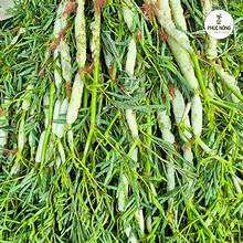 LIMPIA ETIQUETA AGUA CONGELADA MIMOSA NATURAL FINCA COSECHA PARA APOYO INMUNE Y BIENESTAR - Product Image 3