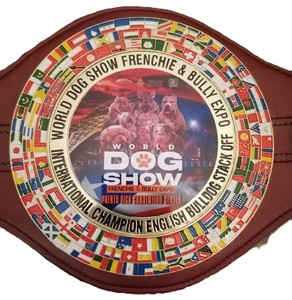 Cinturones de Campeonato Personalizados Trofeos Medallas y Premios El Símbolo Definitivo de Victoria y Excelencia Cinturones de Campeonato - Product Image 4