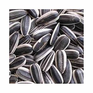 เมล็ดทานตะวันขาวดีและไม้จิ้มฟันอาหารเมล็ดทานตะวันขาว - Product Image 1