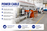 Cable de Alimentación de Cobre VV 0.6/1kV, Aislado con PVC, Revestimiento de PVC, Cable Eléctrico de Bajo Voltaje para Distribución de Energía
