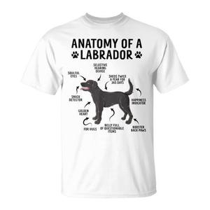 Camiseta Promocional con Diseño de Anatomía de un Labrador Negro - Product Image 1