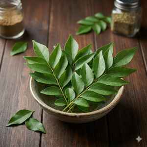 Extracto Herbal de Hoja de Curry Silvestre (Musli Negro) en Forma de Té, Envasado al Vacío, de la India - Product Image 2