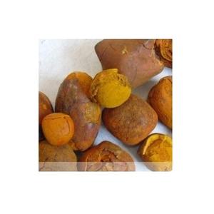 Cálculos biliares de buey de vaca seca de calidad | Cálculos biliares de ganado | Cálculos biliares de vaca y Bezoar - Product Image 3