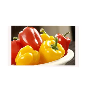 Fresh Peppers yellow Fresh / Red and Green Chilli Pepper for sale