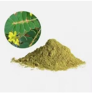 Polvo de extracto de hierbas cultivadas silvestres Cassia Obovata - Product Image 4