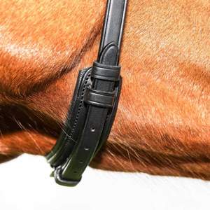 Plain Raised <b>Dressage</b> Bridle - Product Image 4