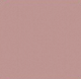 กุหลาบเจ้าสาว