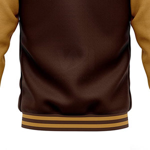 Chaqueta de Invierno para Hombre de Diseño Personalizado a Precio Razonable, Servicio OEM, Último Estilo en Chaquetas Letterman para Hombre - Product Image 4