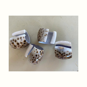 Anillo de Servilleta de Concha Marina Natural Utilizado para Decoración de Mesa, Servicios de Catering y Comedor - Product Image 3