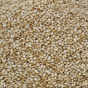 Graines de sésame fraîches naturelles de qualité supérieure, taille 14-32, prêtes à consommer - Product Image 2