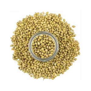 Wholesale 100% natural taste coriander seeds