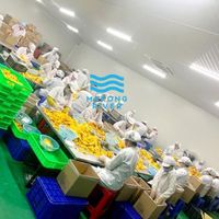 Mekong Rivier Clean Label Gedroogde Passievrucht Gedroogde Longan Mango Ananas Bulk Export