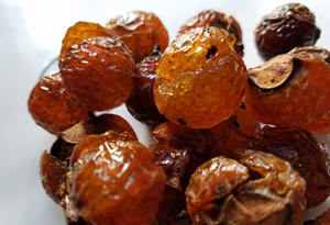 Savon naturel à base de plantes séchées, savon aux noix, ingrédient de saponine pour shampooing, soins de la peau et soins personnels, pour utilisation comme détergent de cuisine - Product Image 2