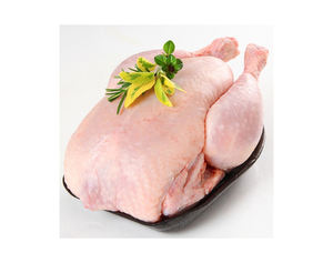 Poulet entier surgelé à 100 % / Poulet surgelé disponible dès maintenant pour l'exportation au prix de gros - Product Image 1