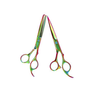 Tijeras de peluquería japonesas, hoja de acero inoxidable 6,0, tijeras para adelgazar el cabello, tijeras de peluquero de punta afilada - Product Image 1