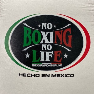 Gants de boxe personnalisés NO BOXING NO LIFE vert/rouge/blanc, en cuir véritable, pour entraînement et Muay Thai, pour hommes. - Product Image 6
