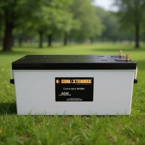 Batterie au plomb-acide scellée AGM Concorde PVX-2120L 2V 20HR pour solaires et onduleurs - Product Image 2