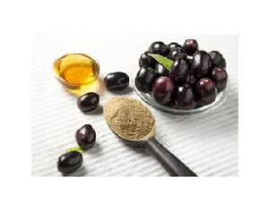 Calidad superior Jamun Powder Bulk Supply Producto de hierbas naturales al mejor precio al por mayor - Product Image 2