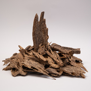 Materia Prima de Agarwood para Uso en Carbón Vegetal - Product Image 4