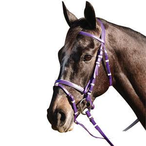 Brida de caballo ajustable de cuero Premium, duradera, suave, acolchada, elegante, cómoda, para entrenamiento de equitación, espectáculo de doma, salto occidental - Product Image 2